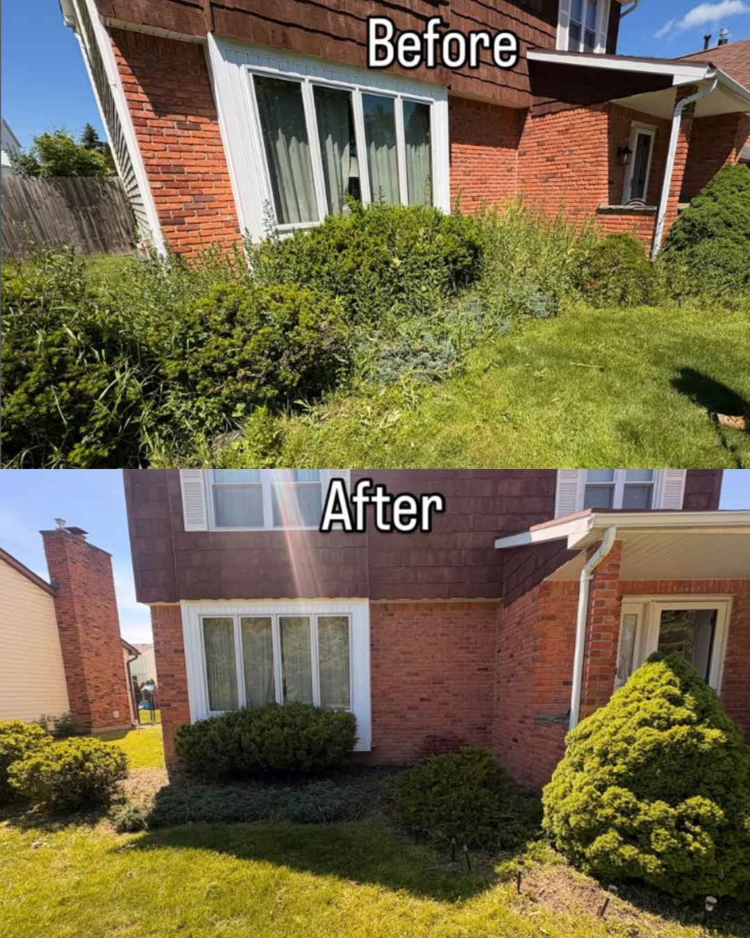 Overgrown Bush Trimming — 716 Exterior project in Western New York