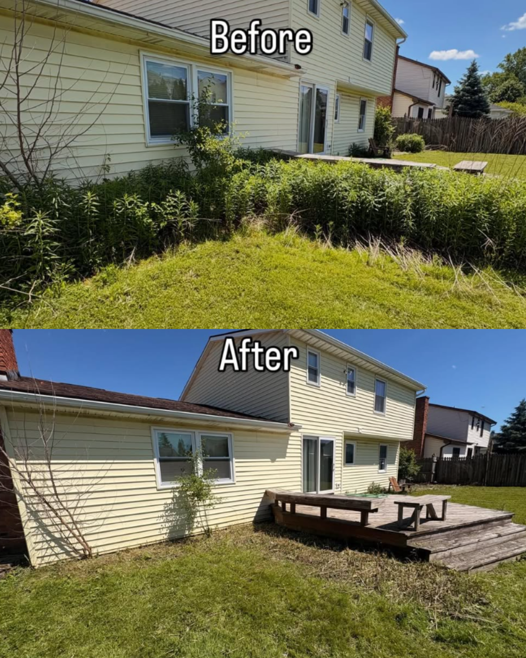 Overgrown Yard Cleanup — 716 Exterior project in Western New York