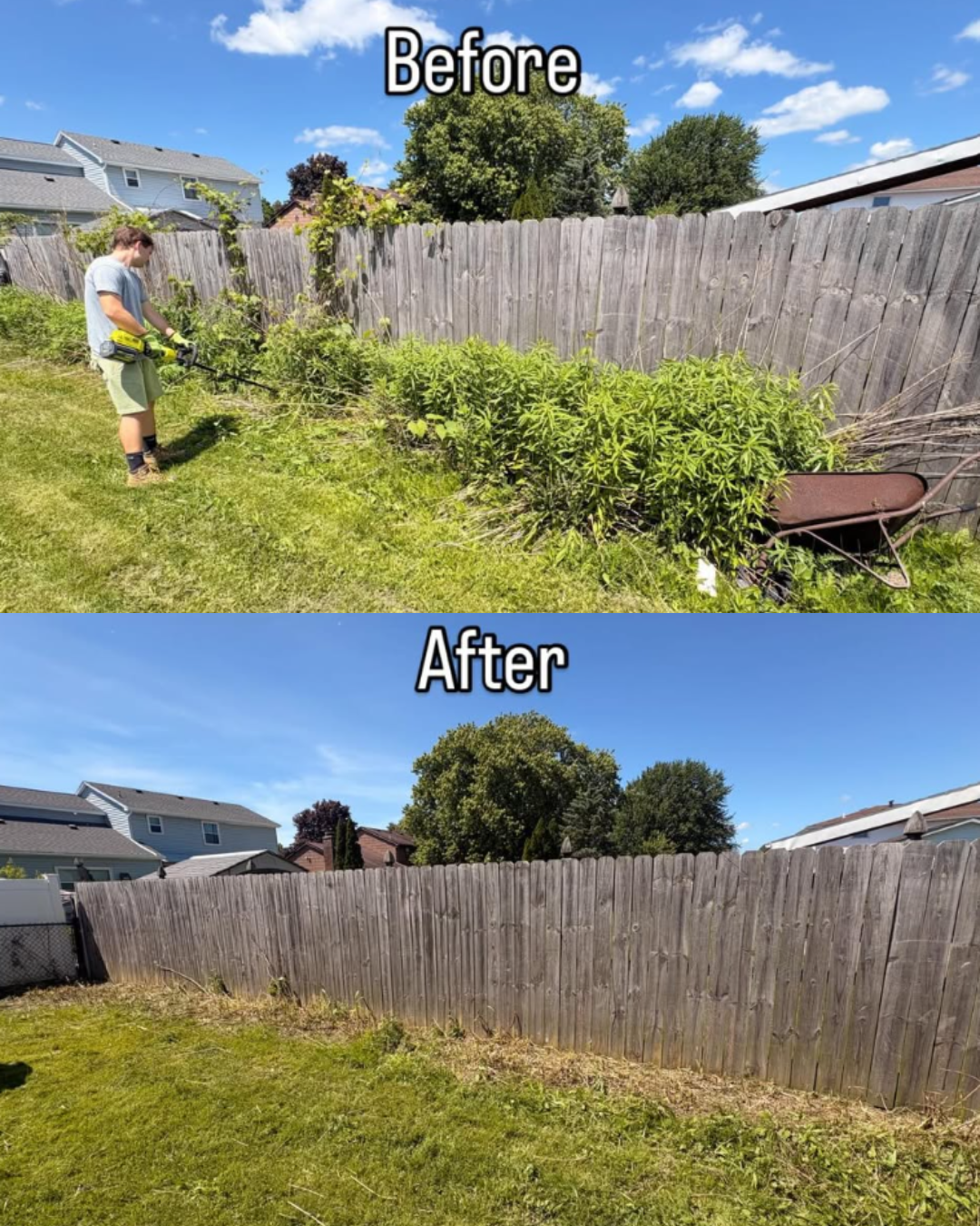 Backyard Weed & Brush Removal — 716 Exterior project in Western New York